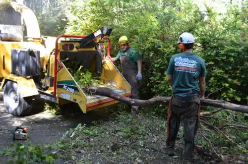 tree services Hastings